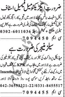 marketing-staff-real-estate-sales-manager-medical-product-punjabkpk-jobs-in-lahore-jobs-in-kpk-big-0