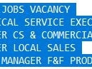 tech-service-executivemanager-cs-commercialmanager-local-salessales-manager-ff-productssenior-sales-exe-jobs-in-karachi-jobs-in-lahore
