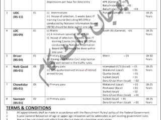 driver-chowkidar-sweeper-ldcudc-data-entry-operator-assistant-government-jobs-in-pakistan