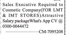 sales-executive-cosmetic-company-lmt-imt-stores-sales-job-jobs-in-lahore-big-0
