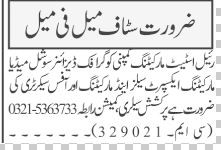 graphic-designer-social-media-marketing-expert-sales-marketing-office-secatary-jobs-in-rawalpindi-graphic-designer-jobs-big-0