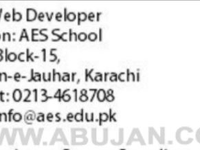 web-developer-required-aes-school-required-jobs-in-karachi