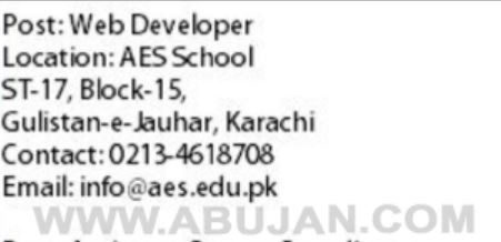 web-developer-required-aes-school-required-jobs-in-karachi-big-0