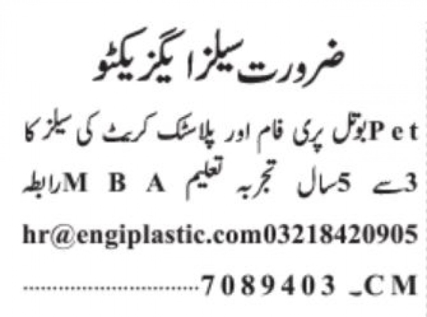 sales-executive-big-0