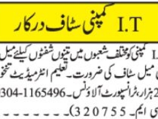 it-company-required-staff