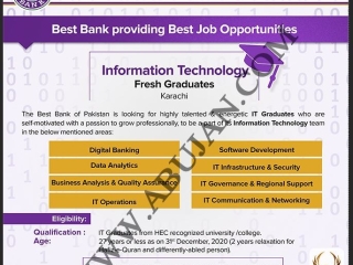 it-ops-business-analyst-qa-data-anal-digital-bankit-comm-networkit-governance-regionalit-infra-securitysoftware-develop