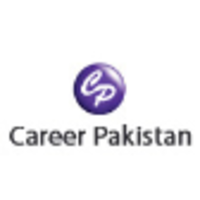 it-manager-required-career-pakistan-big-0