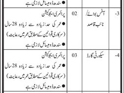 project-assistant-driver-office-boy-security-guard-sanitary-workers-jobs-in-karachi-jobs-in-pakistan-government-jobs