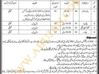 roller-driver-chokydar-cleaner-helper-kulli-yldar-government-jobs-highway-division-jobs