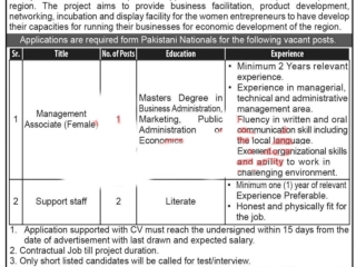 govt-job-kpk-psdp-management-associate-female-support-staff