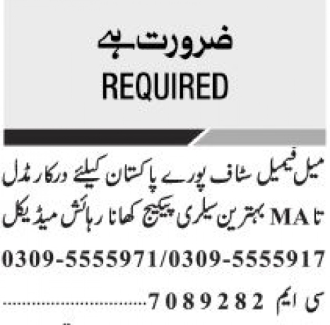 male-and-female-staff-required-big-0
