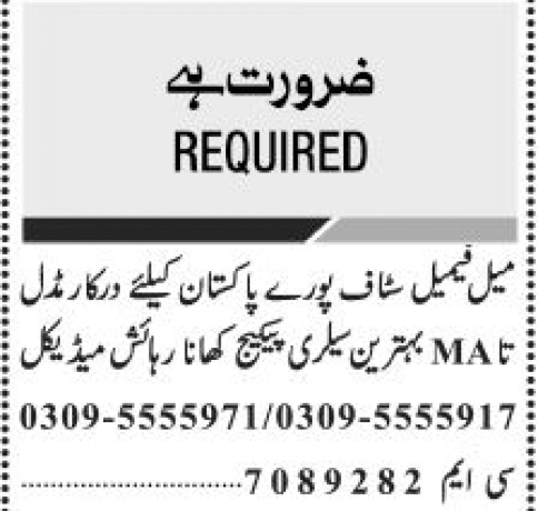 male-and-female-staff-required-big-0
