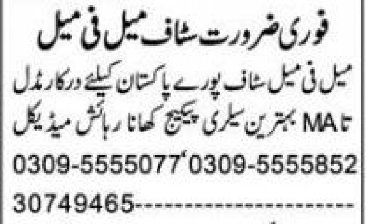 urgent-femalemale-staff-required-lunch-medical-accommodation-big-0