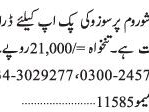 driver-suzuki-pick-up-furniture-showroom-jobs-in-karachi-jobs-in-pakistan