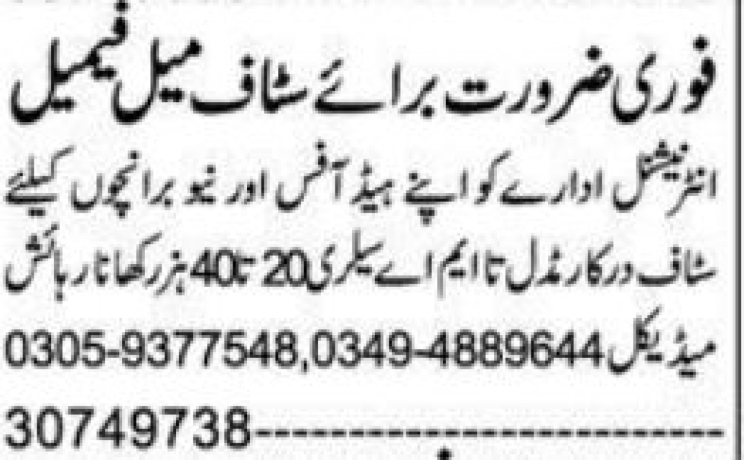 female-and-male-staff-required-big-0