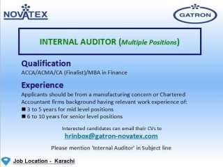 internal-auditor-multiple-positions