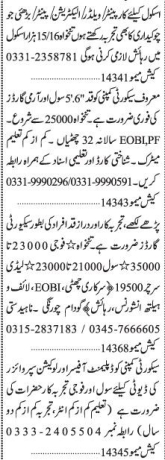 chokydar-electrician-painter-carpenterlady-searcher-security-guards-development-officer-location-supervisor-big-0