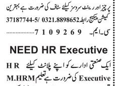 hr-executive-real-estate-staff-zalmi-estate-hr-jobs-in-lahore-latest-jobs-in-dha