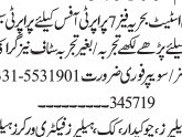 estate-agent-cum-graphic-design-sweeper-tariq-estate-bahria-town-phase-7-sales-jobs-in-islamabad