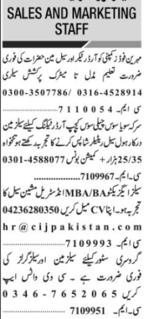 salesman-salesgirl-order-takerfoodsoyachili-sauce-ketchupindustrial-machine-grocery-store-sales-executive-olx-web-jobs-in-lahore-big-0