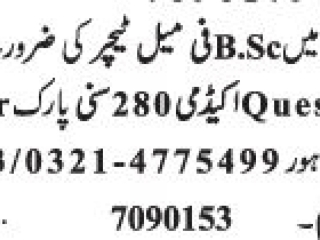 male-teacher-bsc-required-for-academy