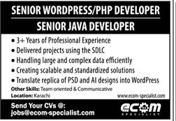 wordpress-php-developer-jave-developersocial-media-marketing-manager-equity-traders-software-jobs-2022-online-jobs-2022-jobs-in-karachi-big-0