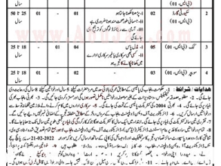 naib-qasid-security-guards-cook-sweeper-bps-01-directorate-of-women-development-punjab-latest-jobs-2022-govt-jobs-jobs-in-punjab