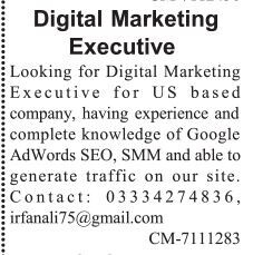 digital-marketing-executive-usa-based-company-jobs-in-usa-jobs-in-lahore-marketing-jobs-big-0