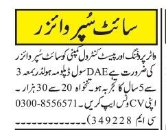 site-supervisor-water-proofing-pest-control-company-jobs-in-rawalpindi-2022-latest-supervisor-jobs-big-0