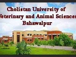professors-associate-assistant-lecturers-bahawalpur-cholistan-university-of-veterinary-and-animal-sciences-latest-govt-jobs-today-2022