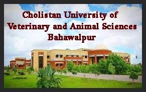 professors-associate-assistant-lecturers-bahawalpur-cholistan-university-of-veterinary-and-animal-sciences-latest-govt-jobs-today-2022-big-0