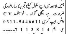 school-driver-bus-driving-driver-needed-driver-job-in-lahore-big-0