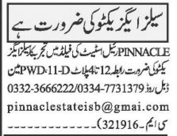 sales-executive-required-big-0