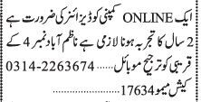 designer-online-company-online-jobs-karachi-2022-big-0