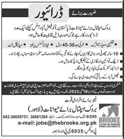 driver-brooke-hospital-for-animals-jobs-in-lahore-latest-driver-job-in-lahore-pakistan-big-0