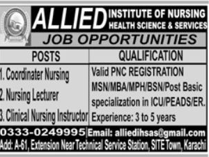 coordinator-nursing-nursing-lecturer-clinical-nursing-instructor