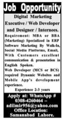 digital-marketing-executive-web-developer-and-designer-internees-recent-software-vacancy-2022-in-lahore-big-1