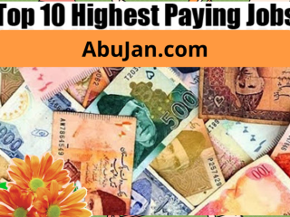 top-10-highest-earning-jobs-in-pakistan-2022