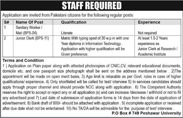 sanitary-worker-mali-clerk-latest-vacancies-in-peshawar-university-2020-big-0