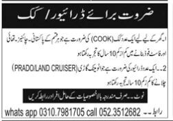driver-cook-automatic-pakistani-chinese-thailand-fast-food-driving-job-5-september-2022-big-0