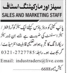 sales-coordinator-sales-assistant-pipe-company-big-0