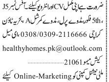 search-engine-optimization-interior-designer-web-designer-architect-graphic-3d-social-media-marketing-manager-executive-bahria-town