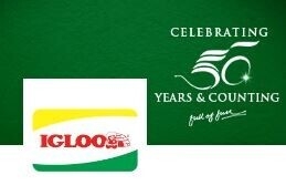 territory-sales-manager-order-booker-salesman-igloo-pakistan-jobs-in-multan-dg-khan-bahawalpur-big-0