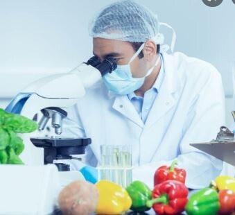 food-technologist-quality-controller-food-company-korangi-job-in-karachi-2022-big-1