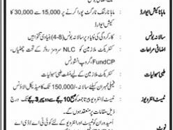 driver-jobs-in-pakistan-latest-driving-jobs-htv-trailer-driver